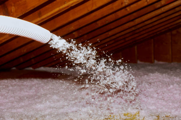 Best Types of Insulation in , KY