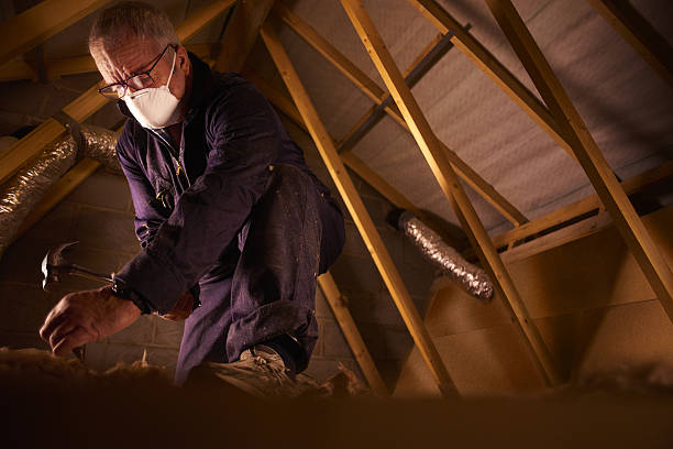 Best Insulation for Specific Applications in , KY